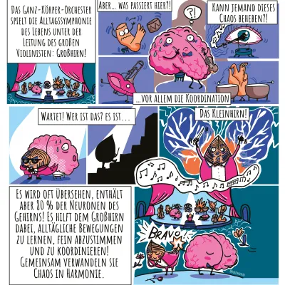 Cerebellum