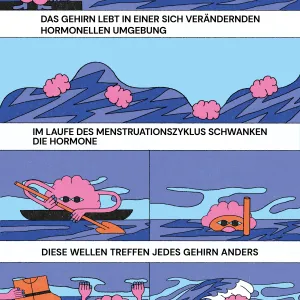 Hormone und Gehirn (2:3)